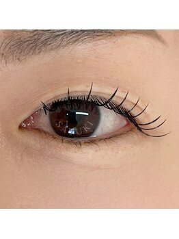 サツキ(SATUKI)/ダブルフラット50束(100本)