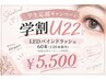 【U22学割】LEDバインドラッシュ60束まで♪5500円