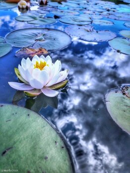 パルペルーレ/【雨の日限定】☆お洋服代無料☆