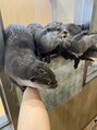 マキア 三島駅前店(MAQUIA)&nbsp;動物大好きです！犬とカワウソが特に好きです