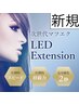 【圧倒的モチ◎LEDエクステ】フラットラッシュ140本 8500円