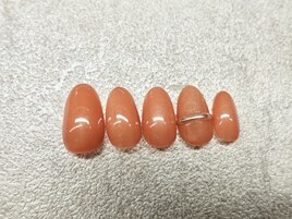 シンプルコース