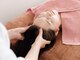 ラリマールの写真/《新感覚ヘッドスパ×小顔矯正》睡眠が浅い方にもおすすめ◎頭のコリを解きほぐし、理想のフェイスラインへ