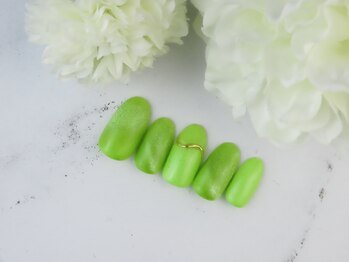 エリートバイプラクシー/「スタンダード定額コース」