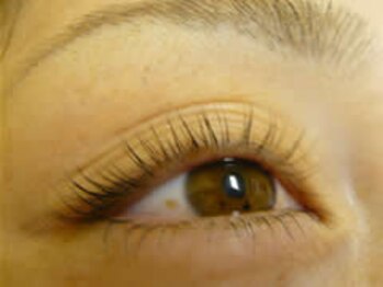 クロノス たまプラーザ店(Kronos)/トリートメントまつ毛カール上下