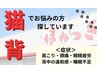 【7月限定クーポン】　気になる猫背に！　￥6,600⇒￥2,980