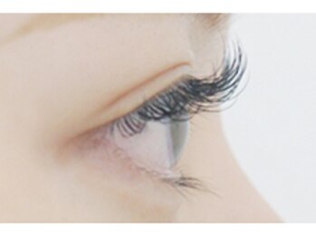 ニュイ 草加店(nuit)/高級セーブルエクステ150本/6480