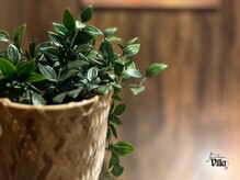 アジアンリラクゼーション ヴィラ 国立店(asian relaxation villa)/ 日常を忘れる程の個室空間