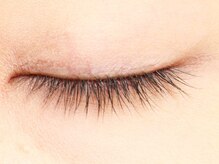 アンジェリークアイラッシュ(Angelique Eye Lash)/100本