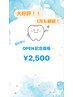 【オープン記念価格☆】５月まで延長！20分2回照射　　通常¥4,980→¥2,500