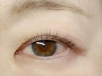 ハール(haar)/【lash lift +カラーエクステ】