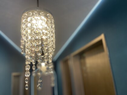 ラズリ(Lazuli)の写真