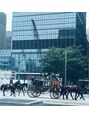 マイティップカワタ(Mytipかわた) 東京駅で馬車パレードに遭遇！とても綺麗で素敵でした！