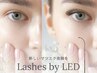【新規】LEDフラットラッシュ150本(ブラウン変更+￥500) 
