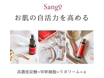 ルルン(LuLuN)/毛穴洗浄後にSangoシリーズ