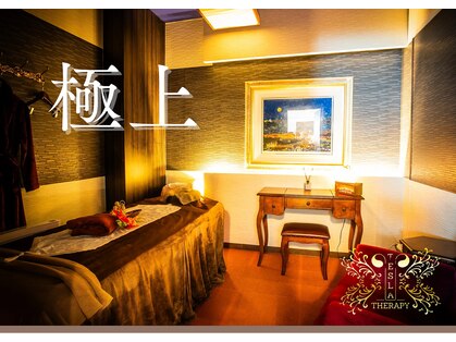 テスラテラピーストア(TESLA THERAPY STORE)の写真