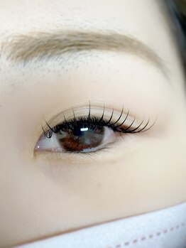 ムニ(muni)/LEDフラットラッシュ120本