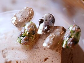 ボリューム定額