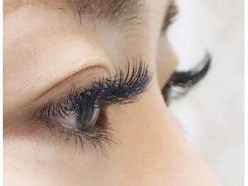 プライムステージ/ボリュームラッシュ 120束