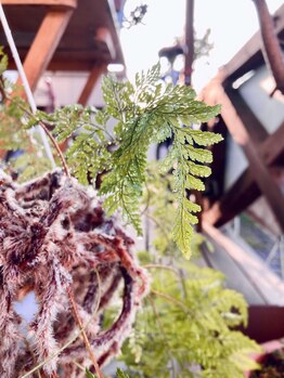 わたなべ整体院/