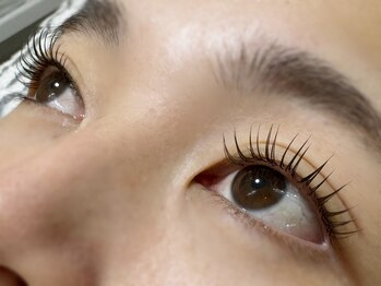 シナレ(Sinarae)/フラットラッシュ120本