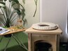 モリンガスチーム３０分
