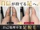 ツバキ(TSUBAKI)の写真