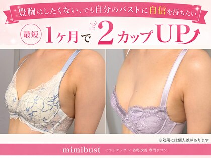 ミミバスト(mimibust)の写真