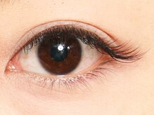 アンジェリークアイラッシュ(Angelique Eye Lash)/