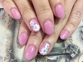 シンプルコース