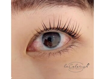 ラ クロリ(la Coloris)/パリジェンヌラッシュリフト