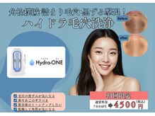 ティー(T)の雰囲気（皮脂による毛穴の黒ずみが気になる方、ざらつきが気になる方。）