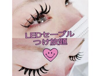 レアレアケー(Lea Lea_K)/LEDセーブル付け放題