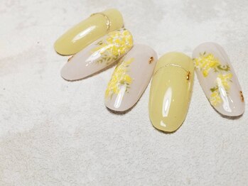 ケー フレーバー ネイル(K flavor nail)/【春先取り】Mimosa 4種　¥9350