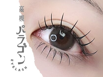 高槻パラゴンの写真