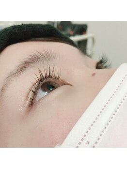 トレンチ(TRENCH)/グラデーションカラー