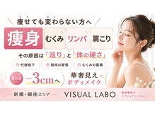 ビジュアルラボ(VISUAL LABO)の雰囲気（初回モニター価格60分３９８０円♪90分（2部位）６９８０円）