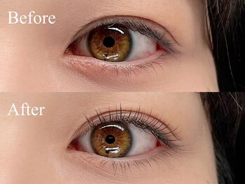 リック(RIC)/フラットラッシュ◆100本