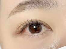 ラニ(Lani)/フラットラッシュ