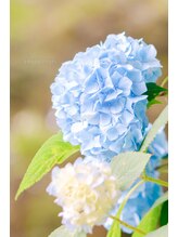 ナチュラルガーデン あまがさきキューズモール店(Natural Garden)&nbsp;山名 