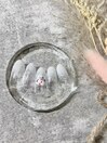 定額シンプルコース