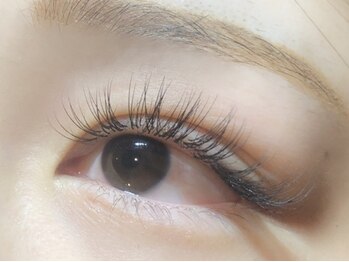 チッパー(CHIPPEr)/セーブル140本