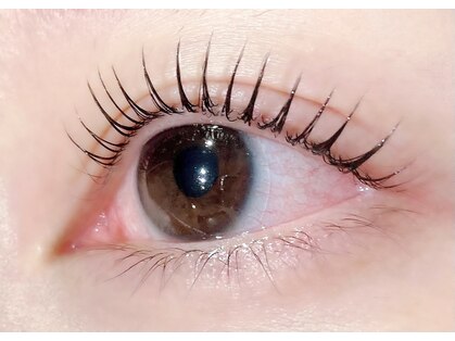 ノベリアイラッシュ(novere eyelash)の写真