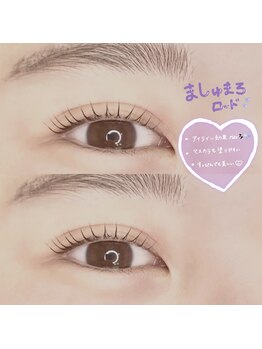 ドクターアイブロウズ(Dr.eyebrows)/まつ毛パーマ【担当NORIKA】