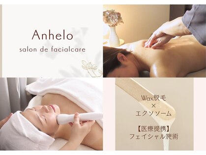 アネーロ(Anhelo)の写真