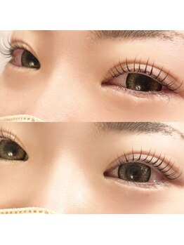 ロール(Roll)/まつ毛パーマ