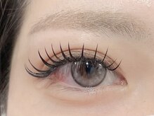 スフィーダ(SFIDA)/LDカール