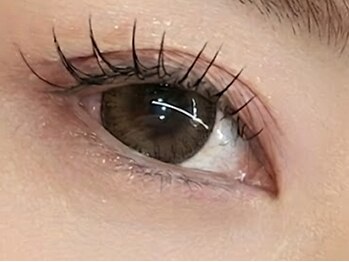 Link【2/1 NEW OPEN（予定）】の写真/【2026年2月1日NEW OPEN】大人気！韓国ロットで今風の自然で華やかなお目元に♪≪まつ毛パーマ・エクステ≫