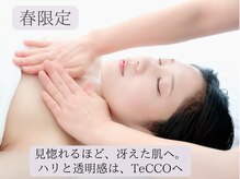 テッコ(TeCCO)