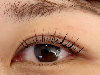 ドーヴ(DOVE)/オリジナルラッシュリフト